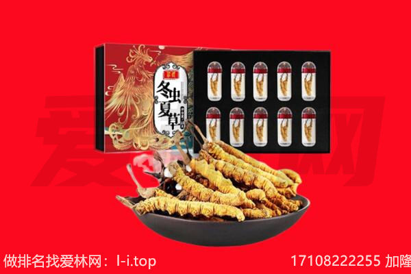 清远市阳山回收虫草.jpg